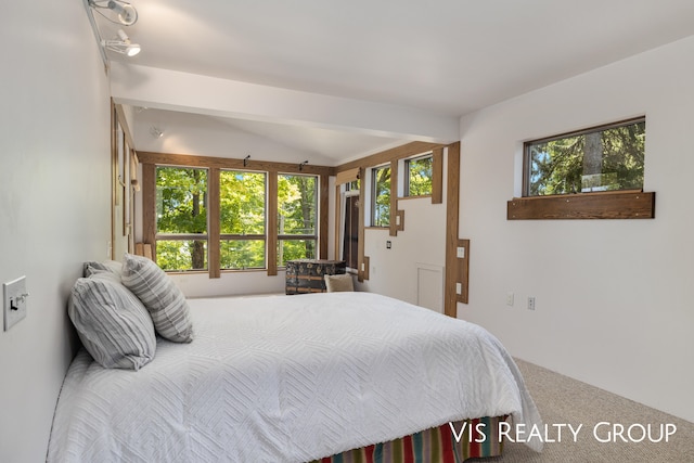 bedroom with carpet floors, vaulted ceiling, and multiple windows