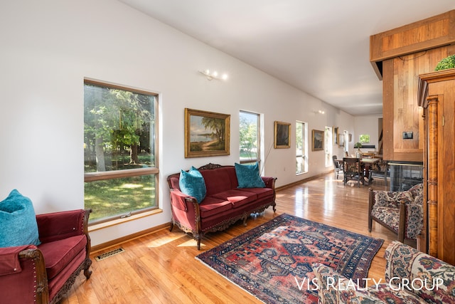 living room with wood-type flooring