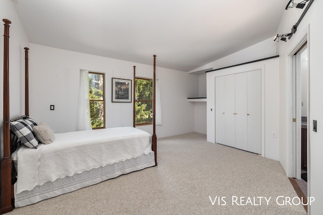 bedroom featuring vaulted ceiling and a closet