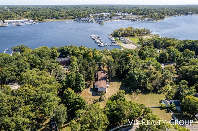 aerial view with a water view