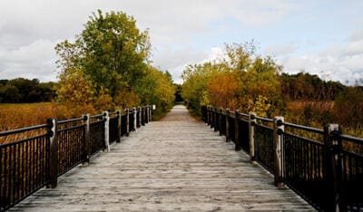 view of dock