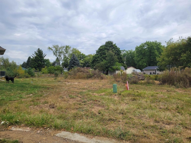 11481 Hidden Oaks Dr, Clio, MI 48420