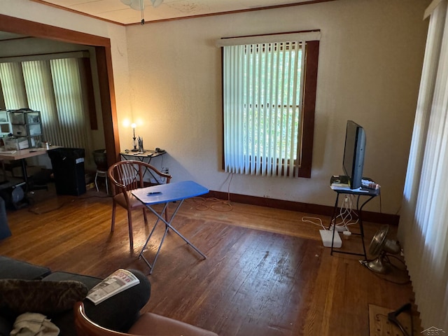 living room with wood-type flooring