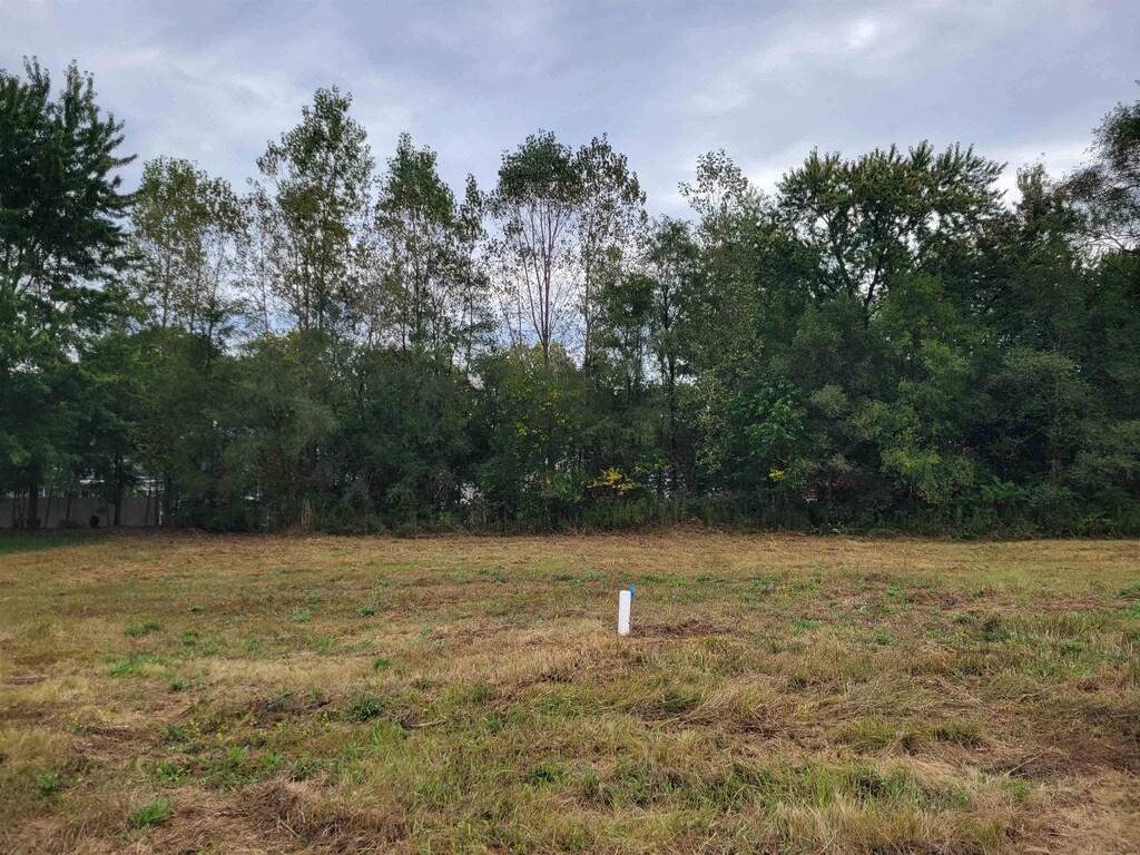 11477 Hidden Oaks Dr, Clio, MI 48420