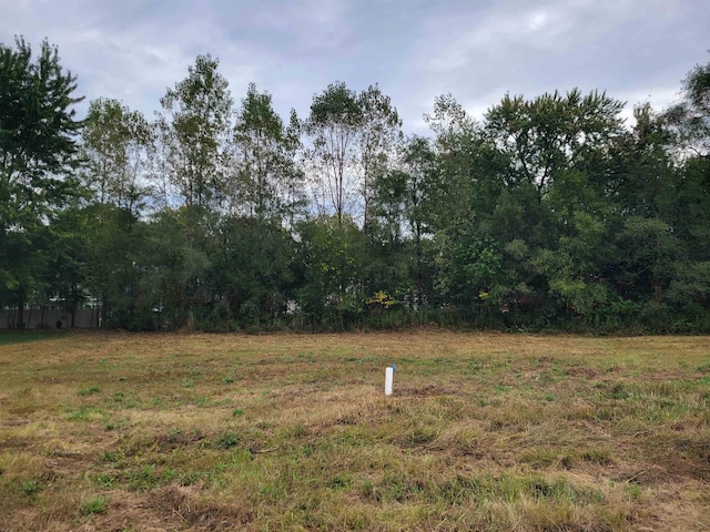 11477 Hidden Oaks Dr, Clio, MI 48420