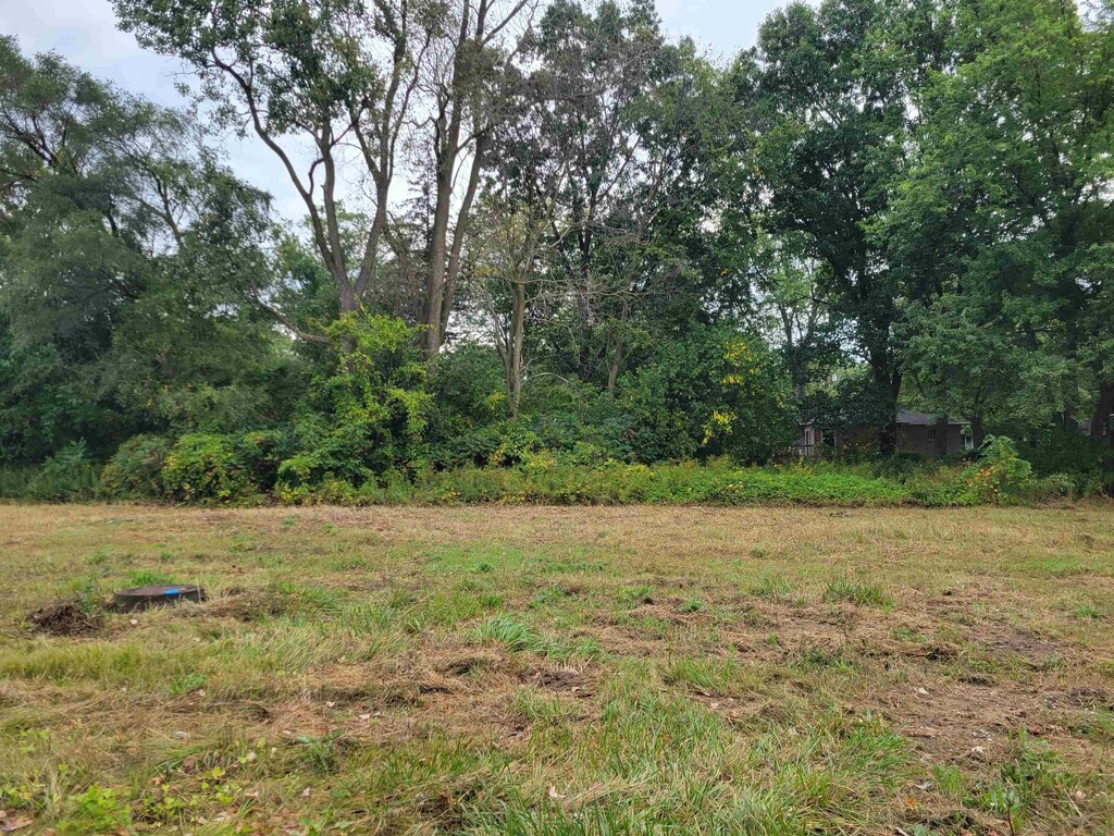11461 Hidden Oaks Dr, Clio, MI 48420