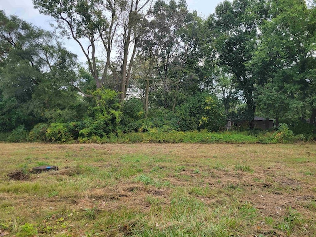 11461 Hidden Oaks Dr, Clio, MI 48420
