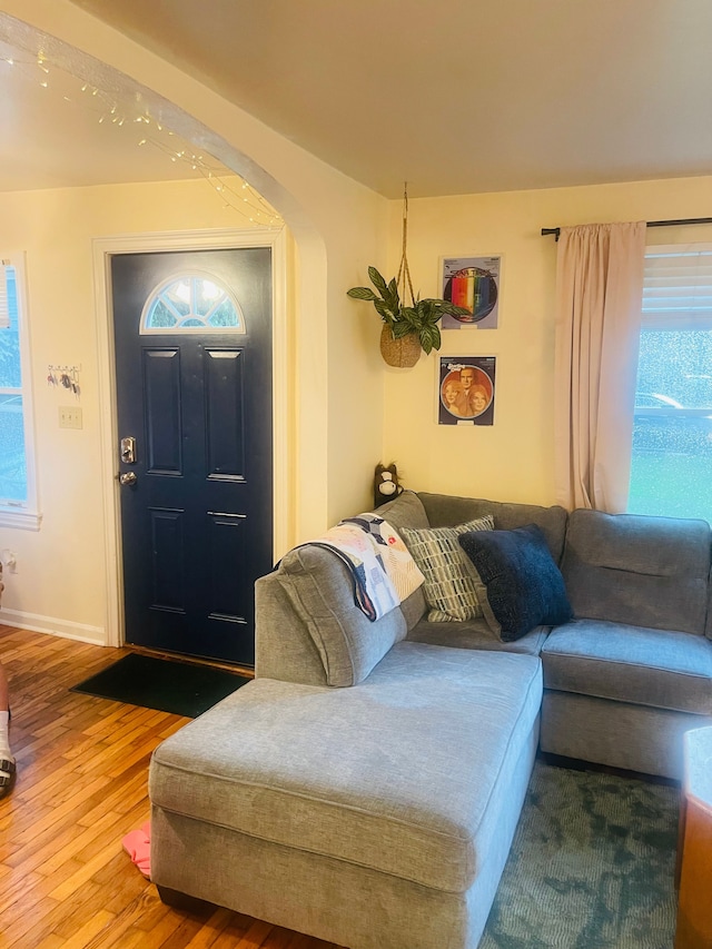 living room featuring wood-type flooring