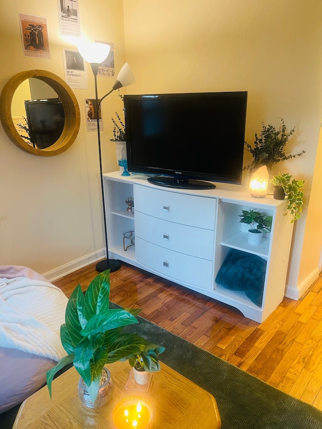 living room featuring wood-type flooring