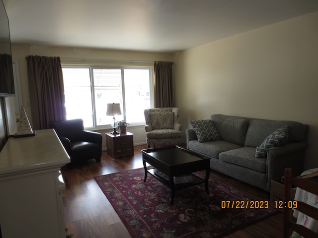 living room with dark wood-type flooring