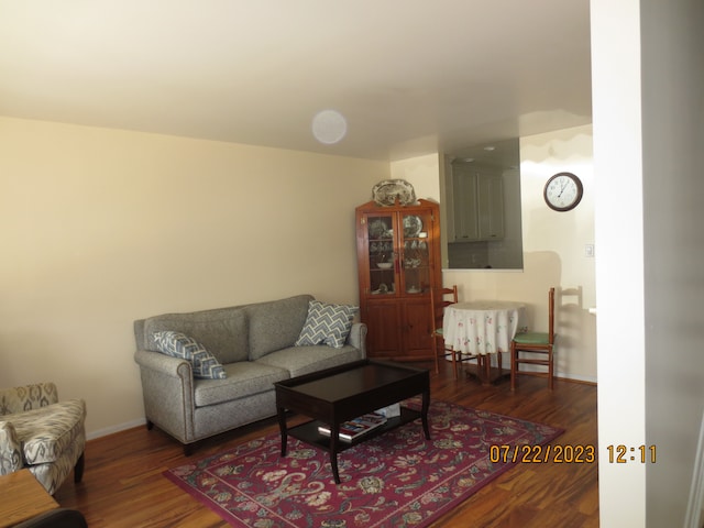 living room with hardwood / wood-style flooring