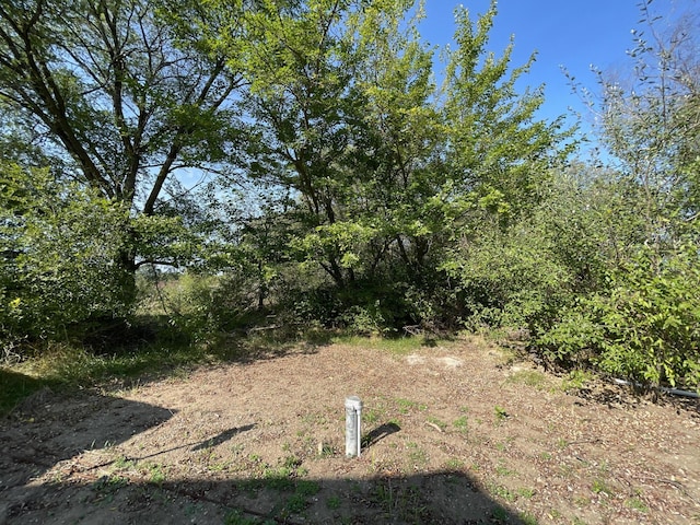 6193 S Pere Marquette Hwy, Pentwater, MI 49449 - view of yard