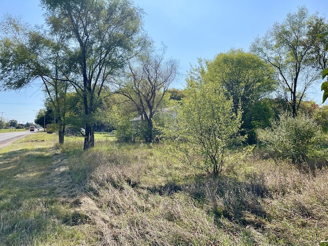 6193 S Pere Marquette Hwy, Pentwater, MI 49449 - view of nature