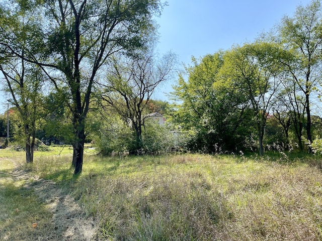 6193 S Pere Marquette Hwy, Pentwater, MI 49449 - view of local wilderness