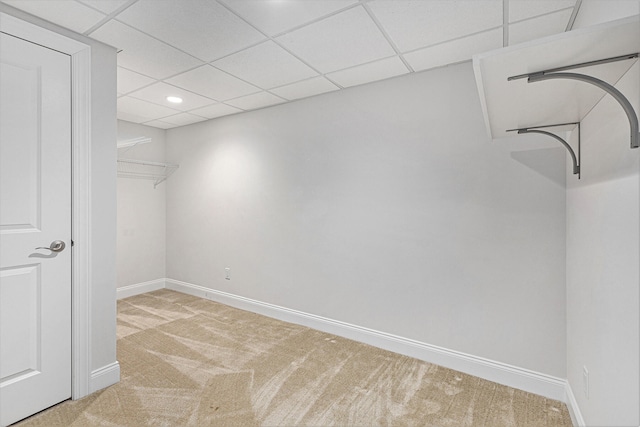 spacious closet with a paneled ceiling and light carpet