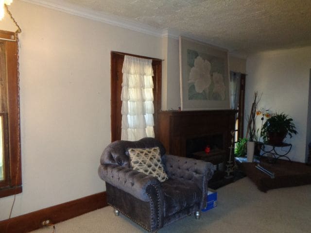 carpeted living room featuring crown molding and a textured ceiling