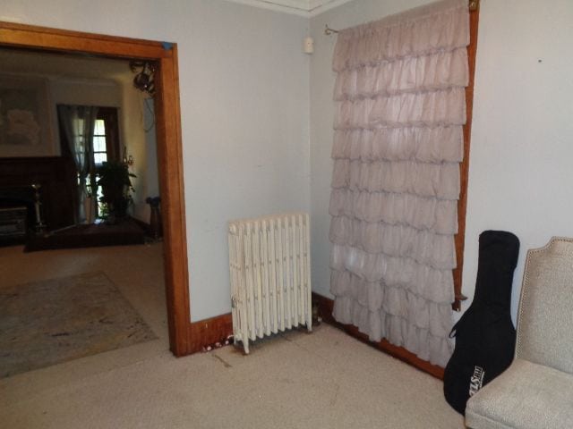 interior space with crown molding, radiator heating unit, and light colored carpet