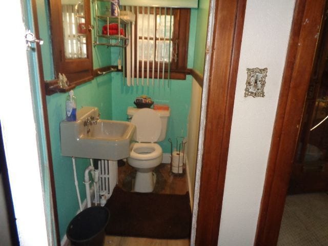 bathroom featuring toilet and sink