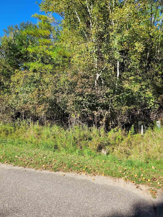 TBDLOT58 W Berkshire Dr, Gladwin, MI 48624