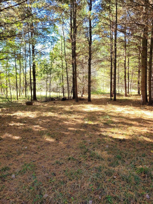 TBDLOT58 W Berkshire Dr, Gladwin, MI 48624