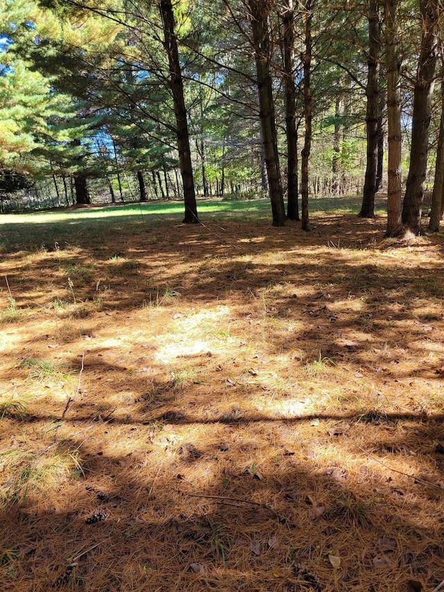 TBDLOT58 W Berkshire Dr, Gladwin, MI 48624