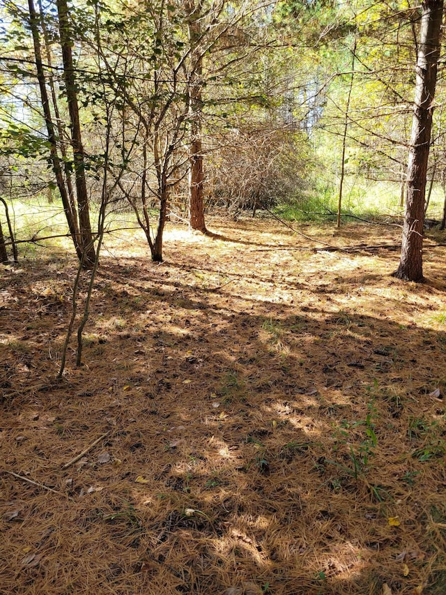 TBDLOT58 W Berkshire Dr, Gladwin, MI 48624