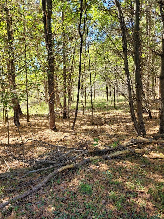 TBDLOT58 W Berkshire Dr, Gladwin, MI 48624
