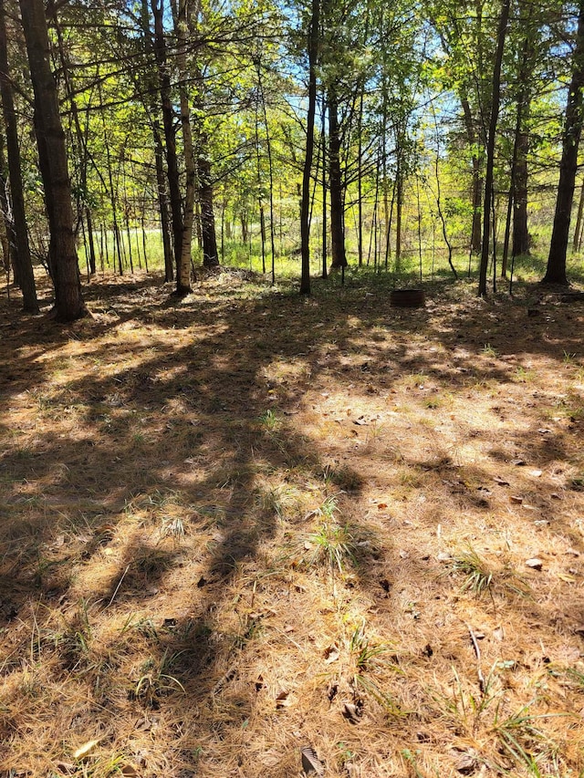TBDLOT58 W Berkshire Dr, Gladwin, MI 48624