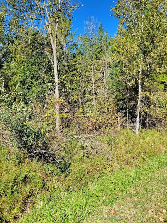 TBDLOT59 W Berkshire Dr, Gladwin, MI 48624 - photo 1