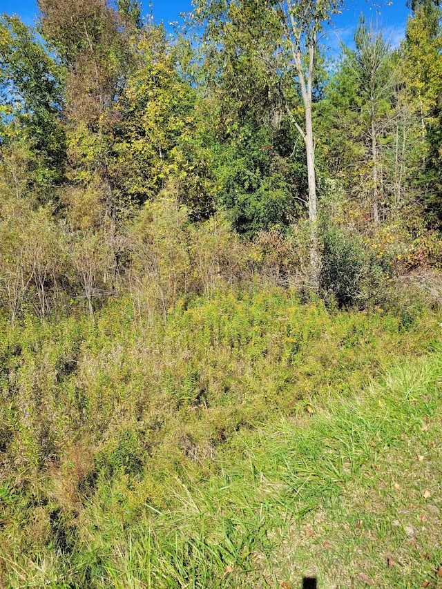 TBDLOT59 W Berkshire Dr, Gladwin, MI 48624 - photo 2
