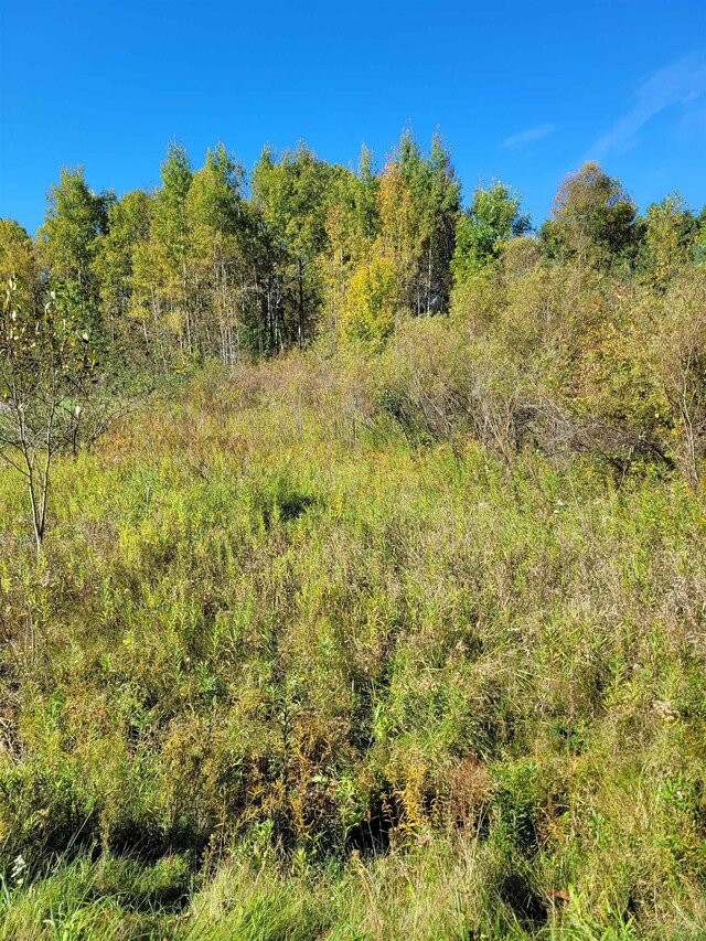 TBDLOT59 W Berkshire Dr, Gladwin, MI 48624 - photo 3