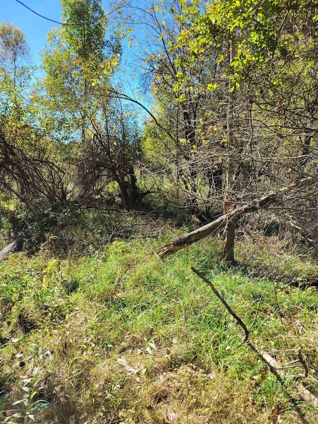 TBDLOT59 W Berkshire Dr, Gladwin, MI 48624 - photo 4