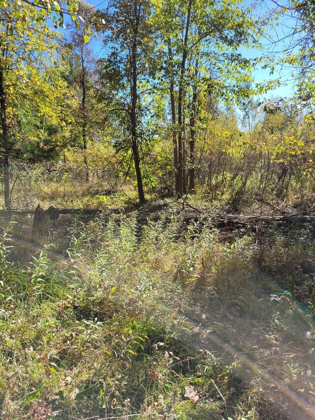 TBDLOT59 W Berkshire Dr, Gladwin, MI 48624 - photo 5