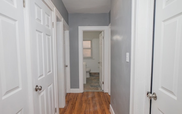 hall with dark wood-type flooring