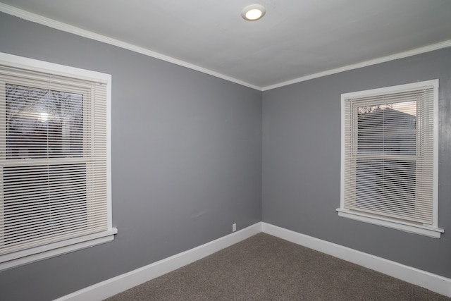 unfurnished room featuring crown molding and carpet