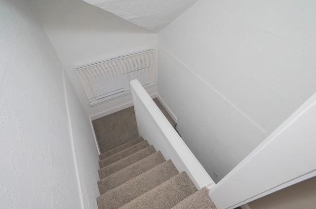 stairway featuring carpet flooring and a textured ceiling