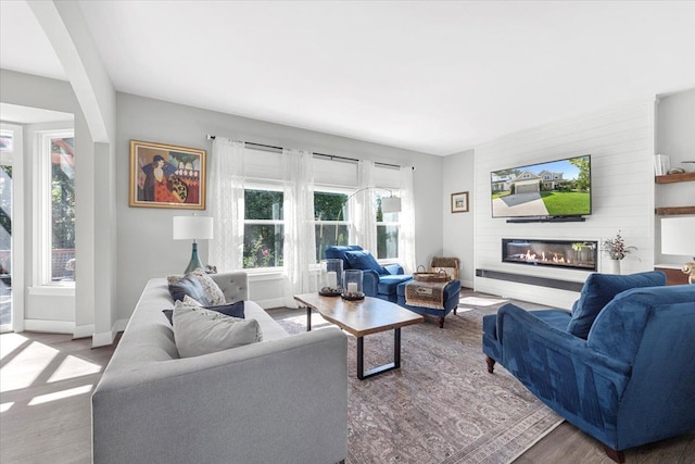 living room with a fireplace, hardwood / wood-style floors, and plenty of natural light