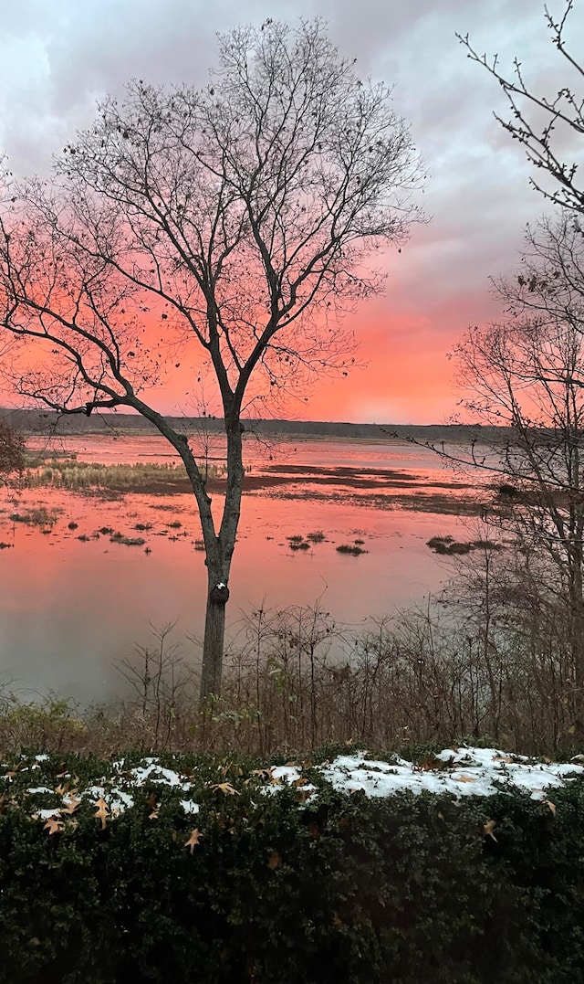 view of snowy landscape