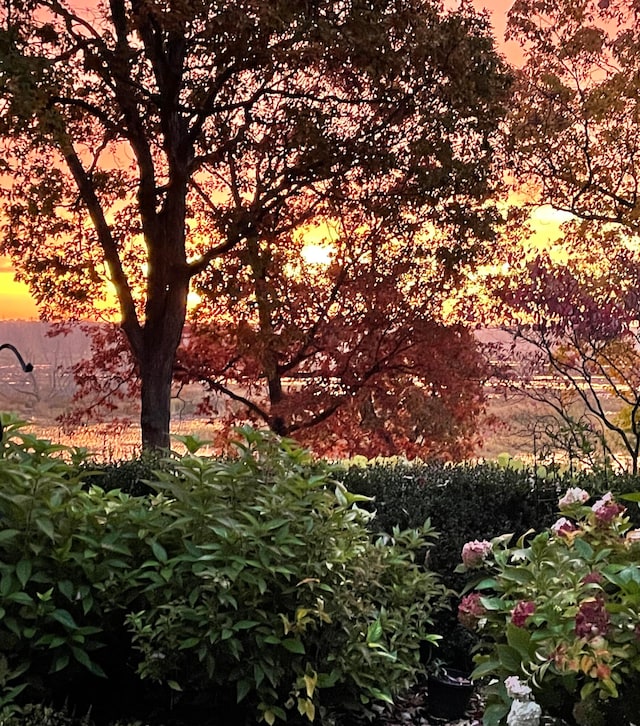 view of nature at dusk