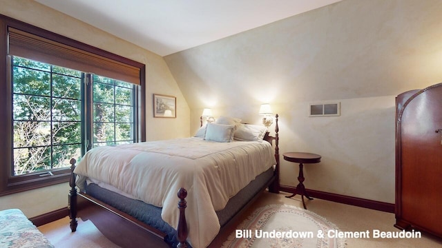 bedroom featuring multiple windows and light carpet