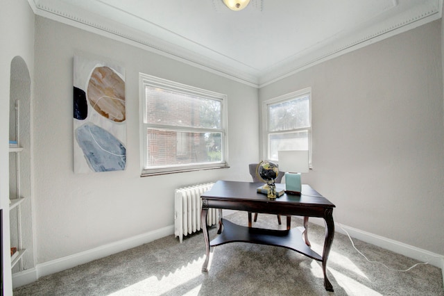 carpeted home office featuring radiator and ornamental molding