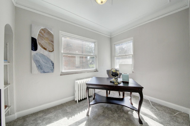 17566 Monica St, Detroit, MI 48221 - carpeted office with radiator, ornamental molding, and baseboards