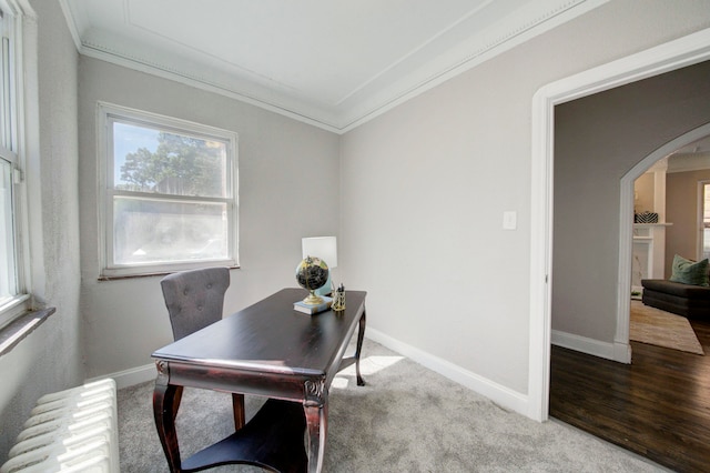 office space with crown molding, radiator heating unit, and carpet