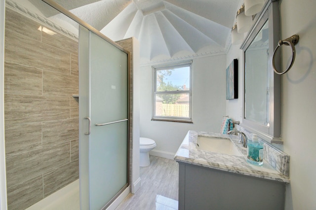 bathroom featuring vanity, toilet, and a shower with door