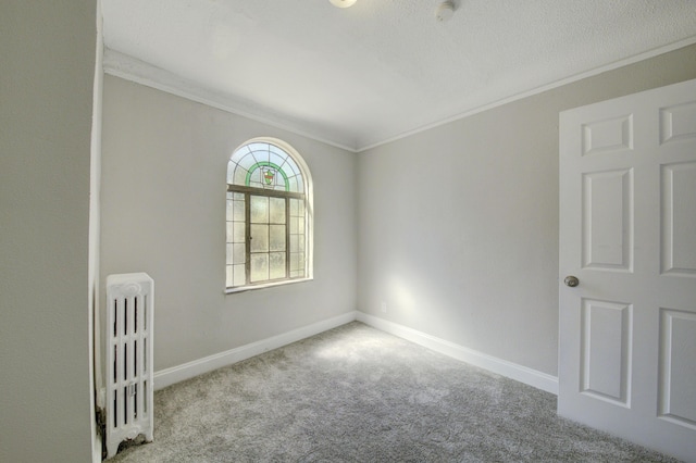 carpeted spare room featuring crown molding and a textured ceiling