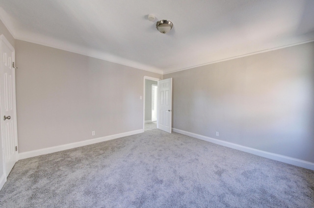 unfurnished room featuring crown molding and carpet floors