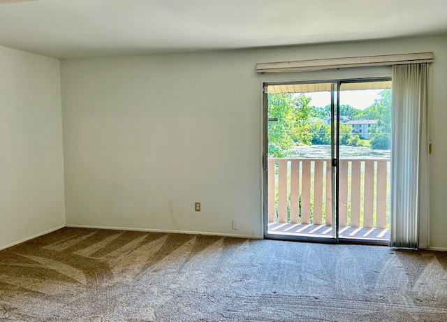 unfurnished room with carpet floors and a healthy amount of sunlight