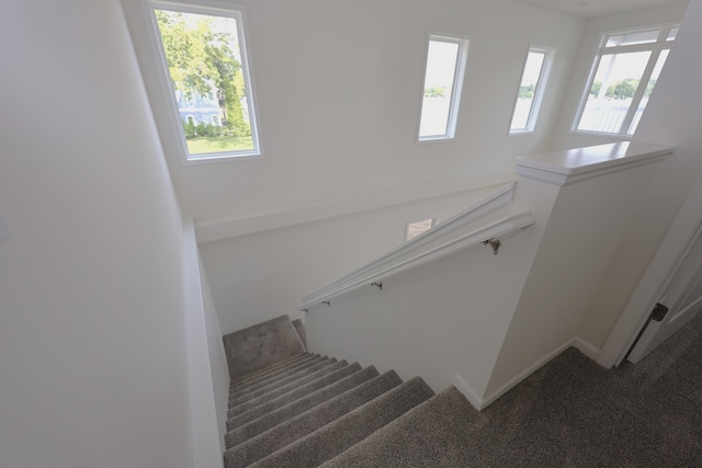 stairs with a wealth of natural light and carpet floors