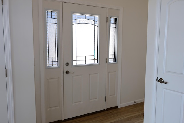 foyer with hardwood / wood-style flooring and a wealth of natural light