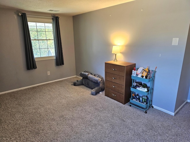 interior space featuring carpet flooring and a textured ceiling